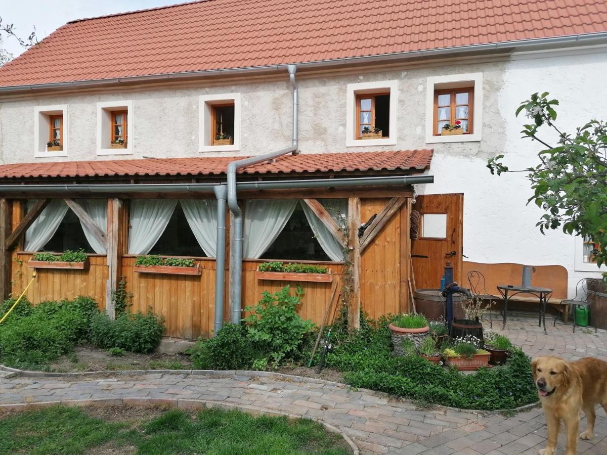 Pivovar Spitt Zahorany Pensionat Litoměřice Eksteriør billede
